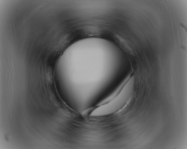 X0000091370170200708241342