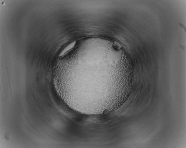 X0000091370171200708241342