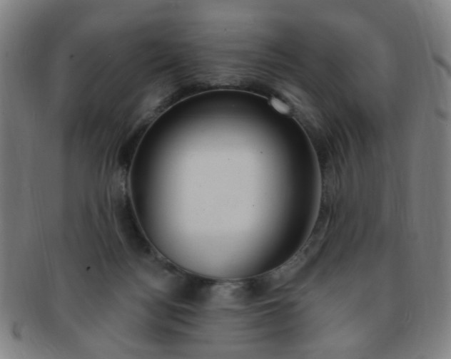 X0000091370172200708241342