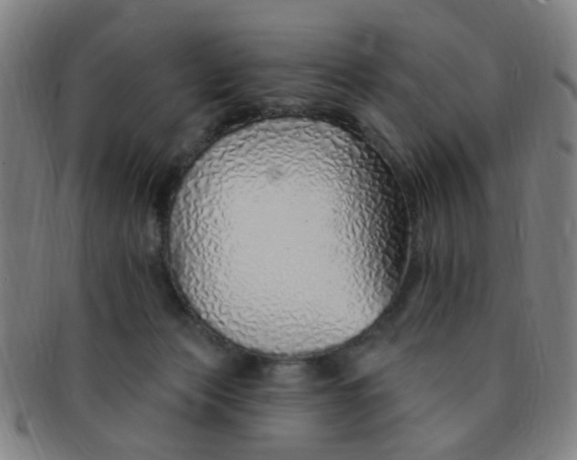 X0000091370173200708241342