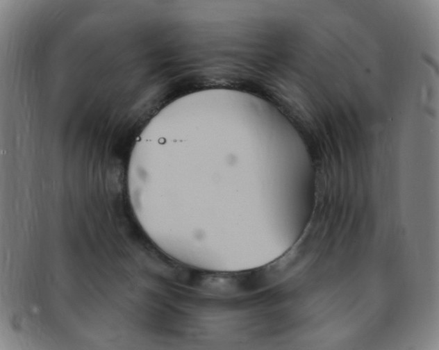 X0000091370174200708241342