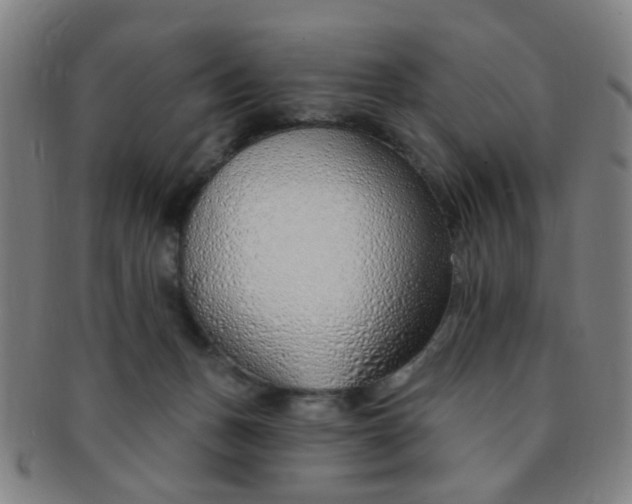 X0000091370175200708241342