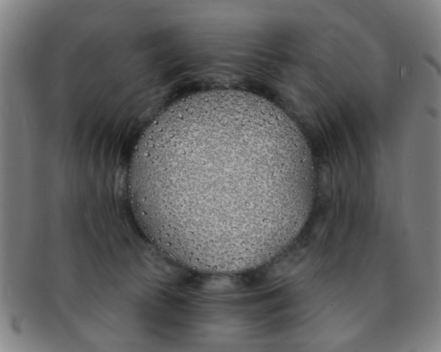 X0000091370177200708241342