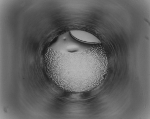 X0000091370178200708241342