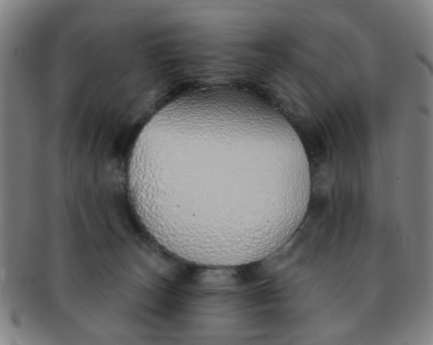 X0000091370179200708241342