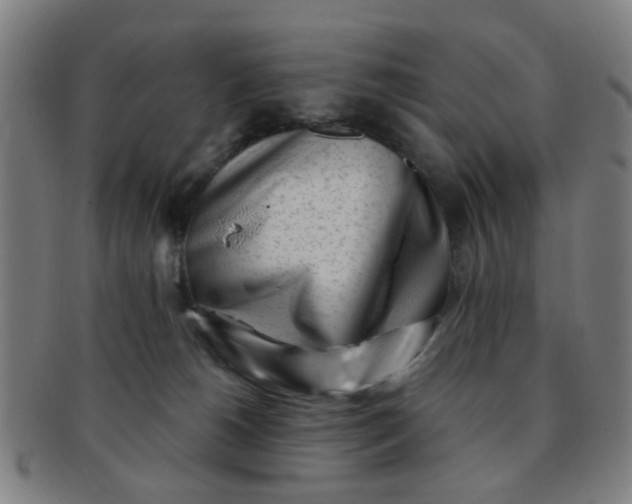 X0000091370180200708241342