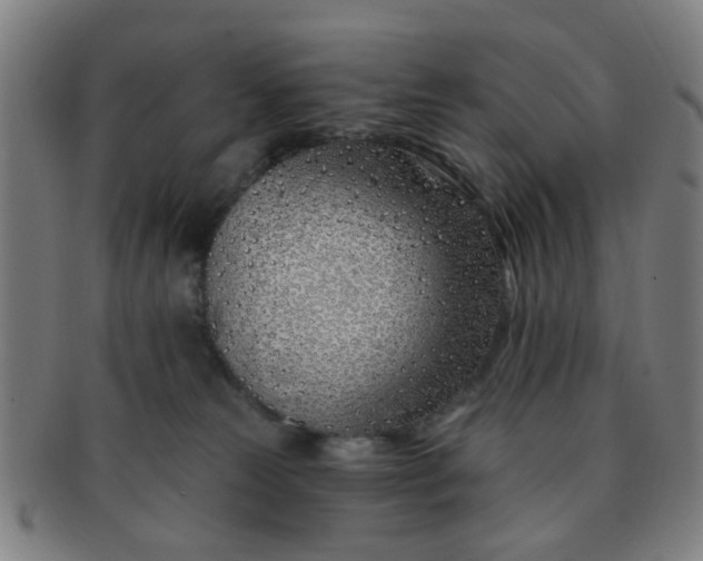 X0000091370181200708241342