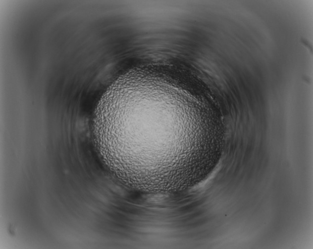 X0000091370182200708241342