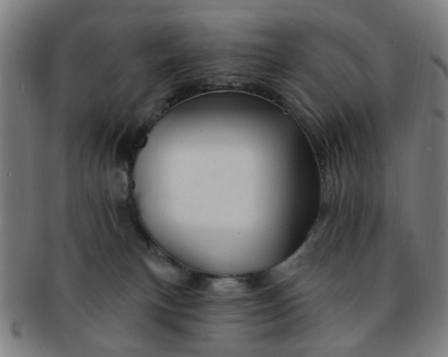 X0000091370183200708241342