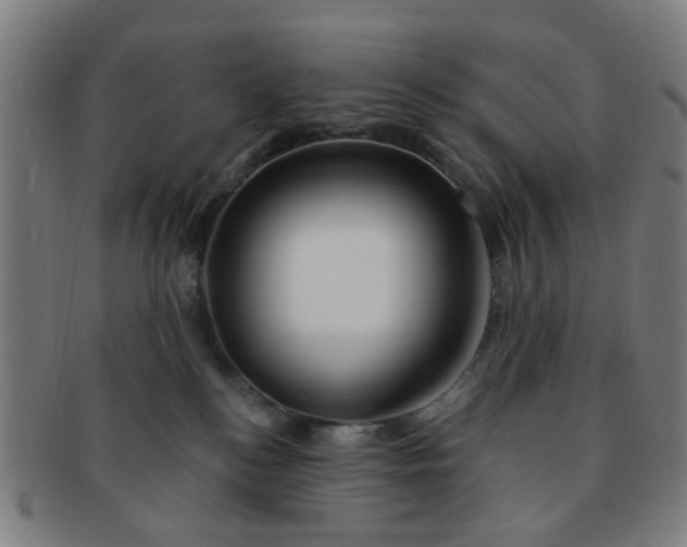 X0000091370184200708241342