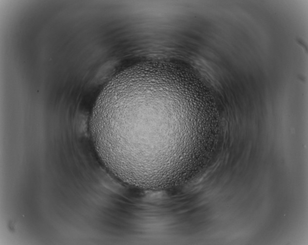 X0000091370185200708241342