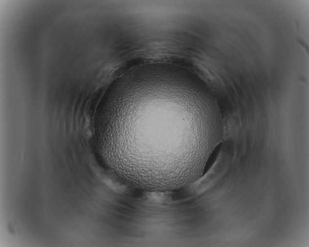 X0000091370187200708241342