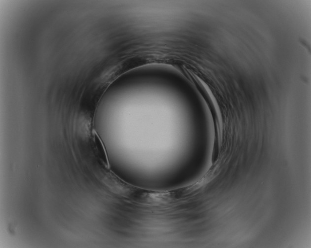 X0000091370188200708241342