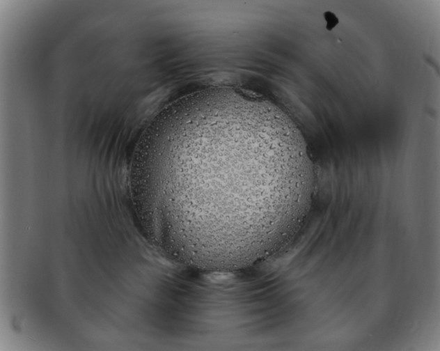 X0000091370189200708241342