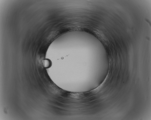 X0000091370190200708241342