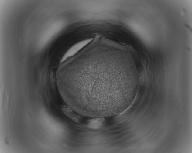 X0000091370191200708241342