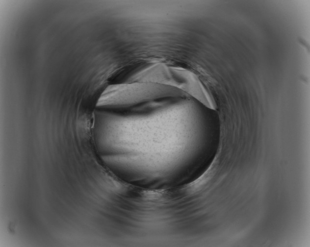 X0000091370192200708241342