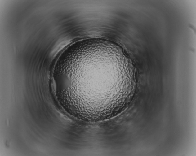 X0000091370194200708241341