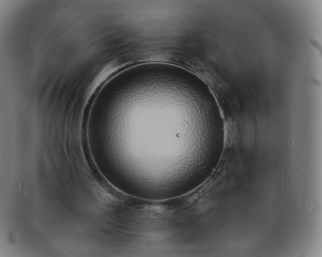 X0000091370195200708241341