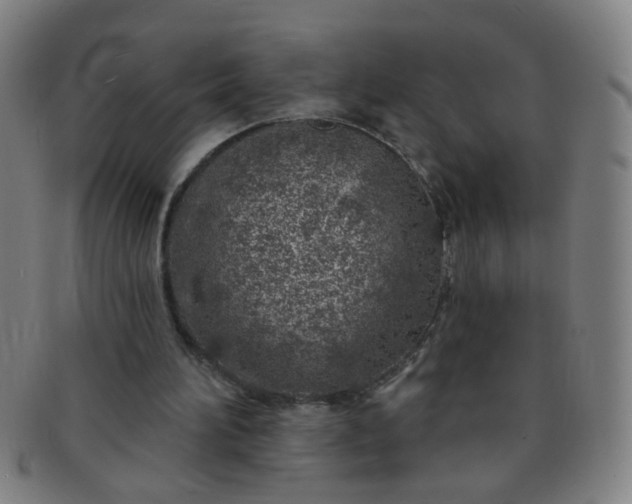 X0000091370196200708241341