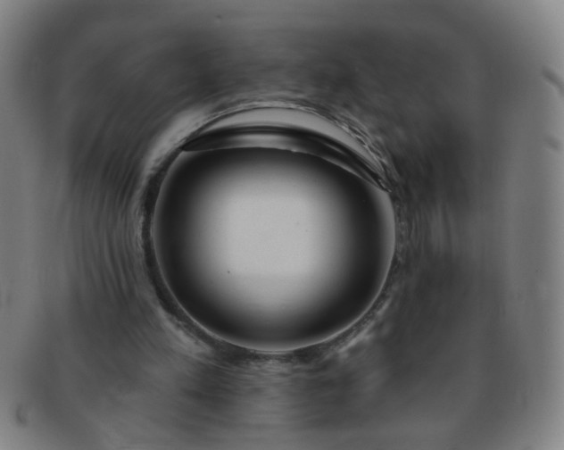 X0000091370197200708241341