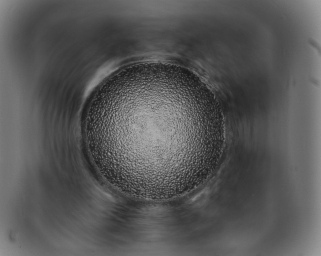 X0000091370198200708241341