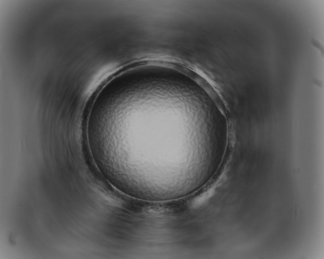 X0000091370199200708241341