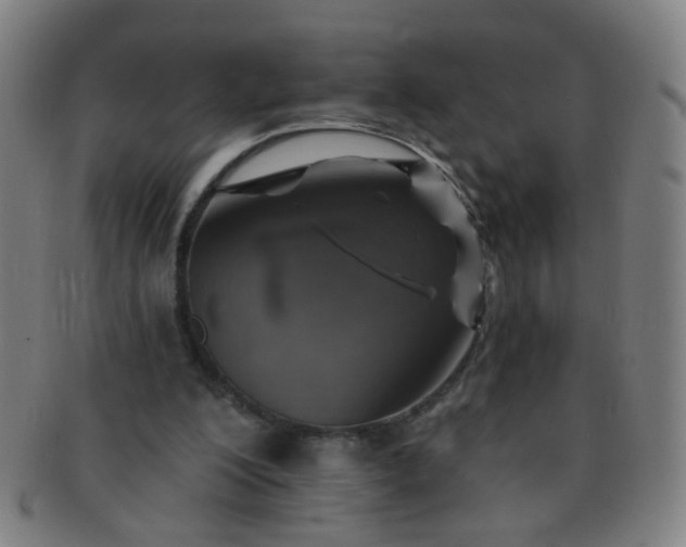 X0000091370200200708241341