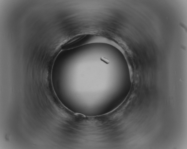 X0000091370201200708241341