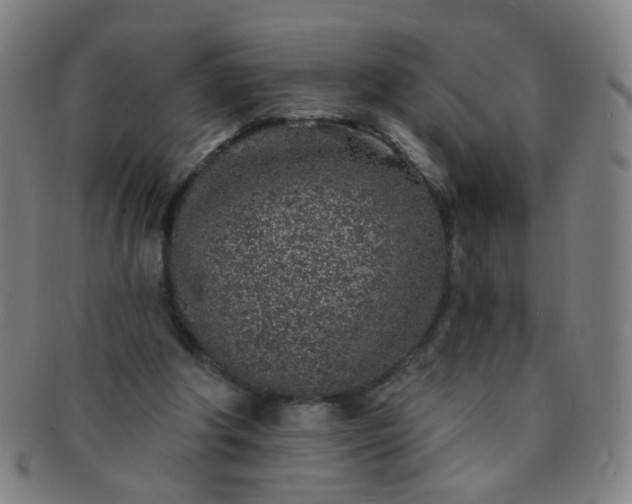 X0000091370202200708241341