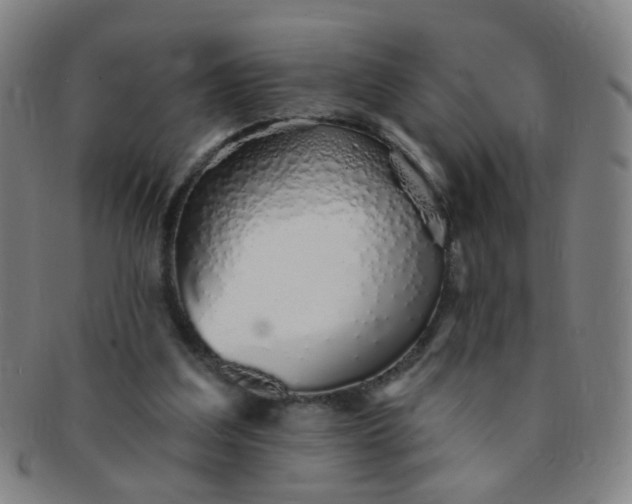 X0000091370203200708241341