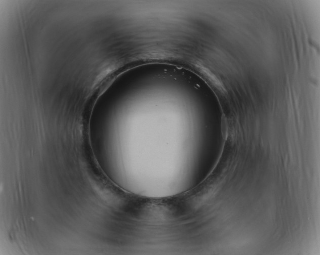 X0000091370207200708241341