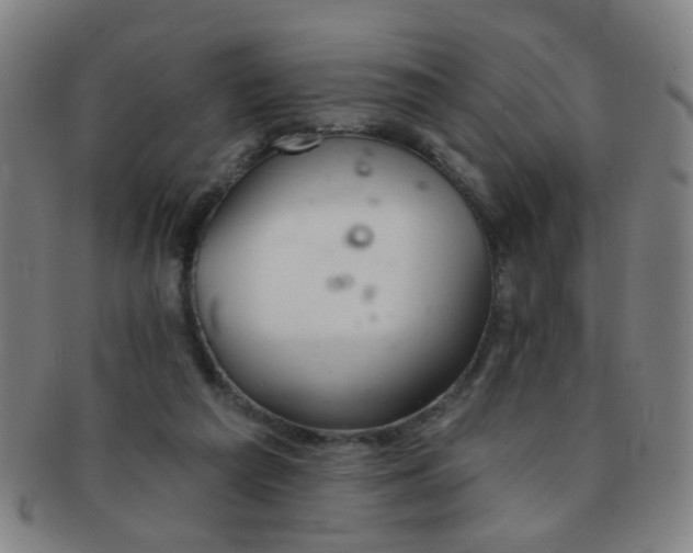 X0000091370209200708241341