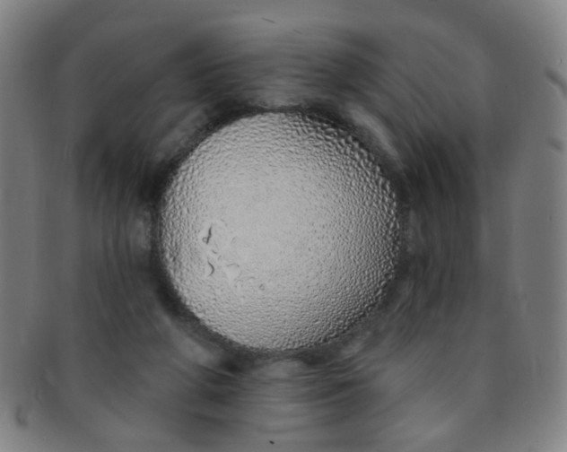 X0000091370210200708241341