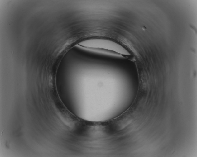 X0000091370212200708241341