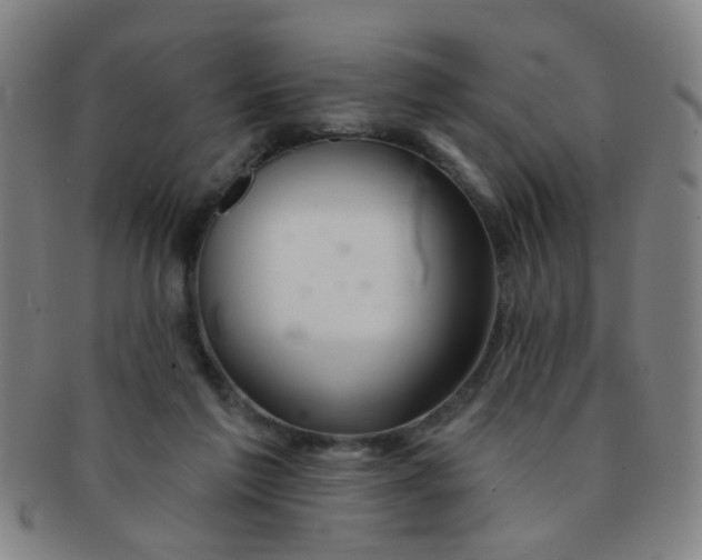 X0000091370213200708241341