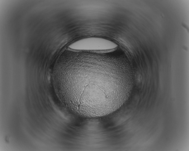 X0000091370214200708241341