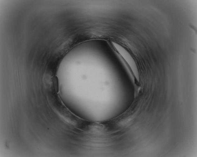 X0000091370215200708241341