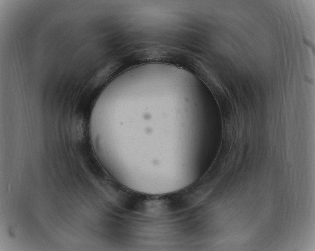 X0000091370216200708241341