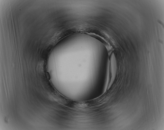 X0000091370217200708241341