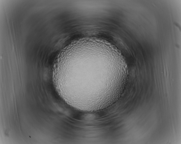 X0000091370218200708241341