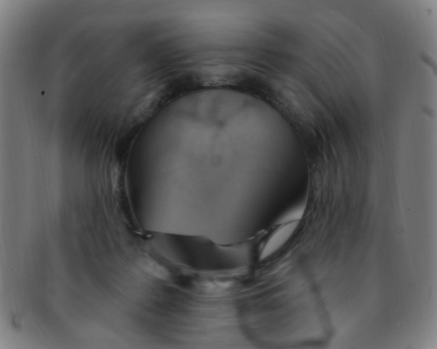 X0000091370219200708241341