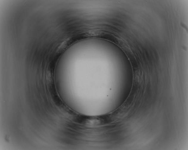 X0000091370220200708241341