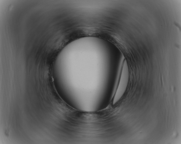 X0000091370221200708241341