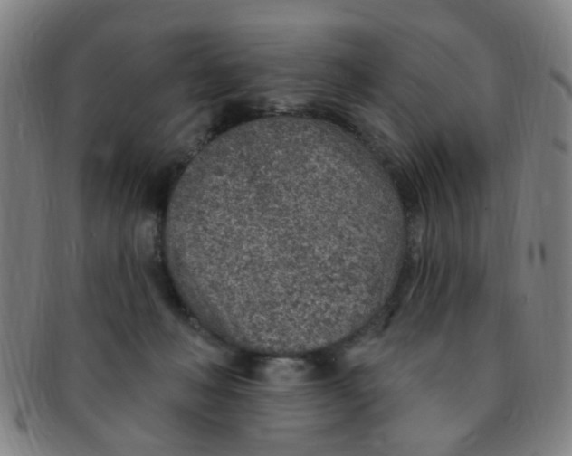 X0000091370222200708241341