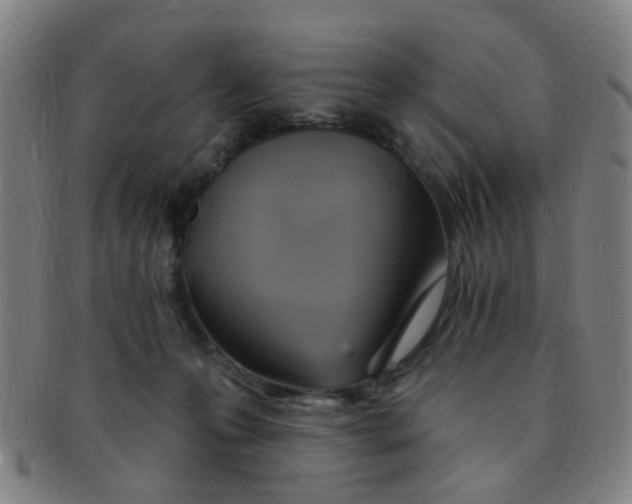 X0000091370223200708241341