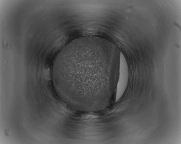 X0000091370224200708241341