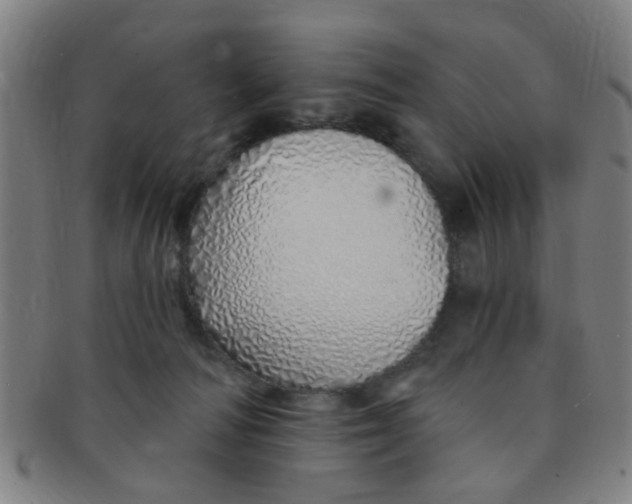 X0000091370226200708241341