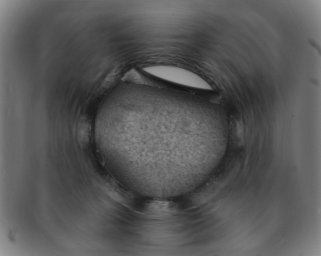 X0000091370227200708241341