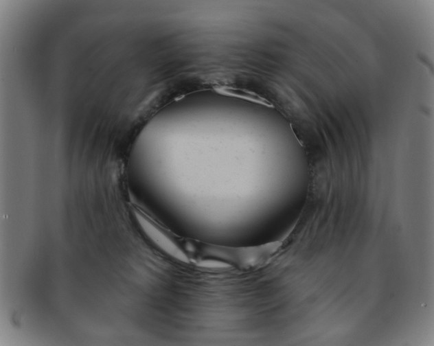 X0000091370229200708241341